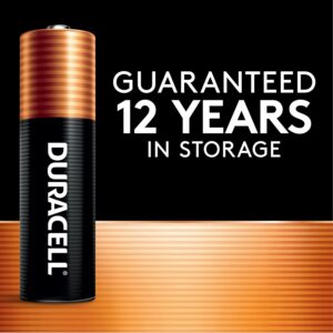 Duracell Coppertop AA Batteries