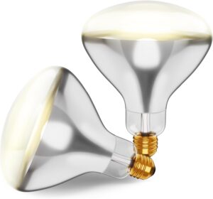 Incandescent R40 Reflector