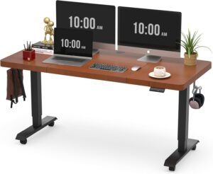 Monomi Electric Standing Desk